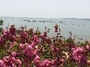 金石滩旅游度假区