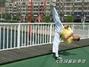大连国源跆拳道